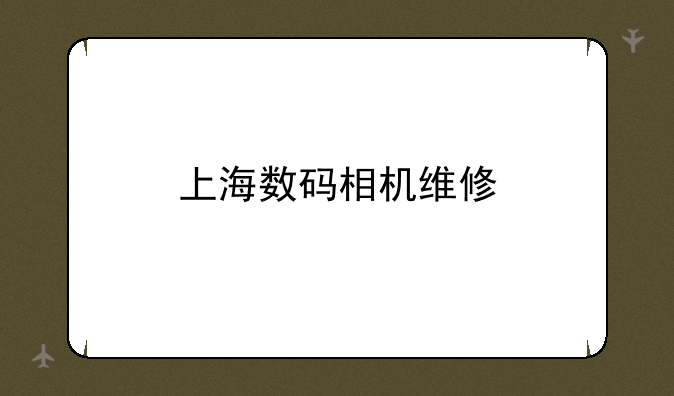 上海数码相机维修