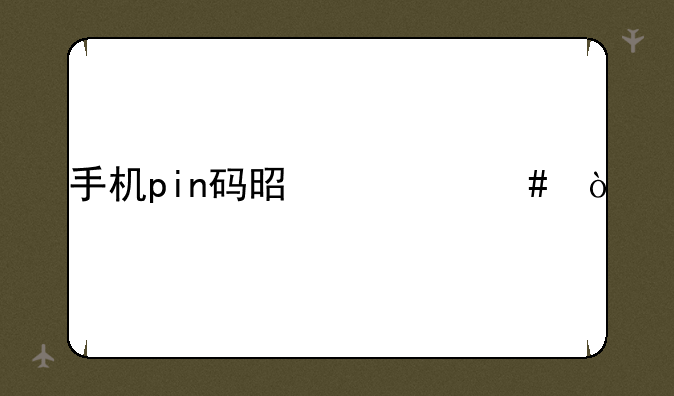 手机pin码是什么？