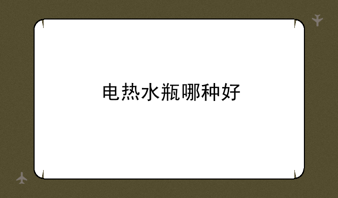 电热水瓶哪种好
