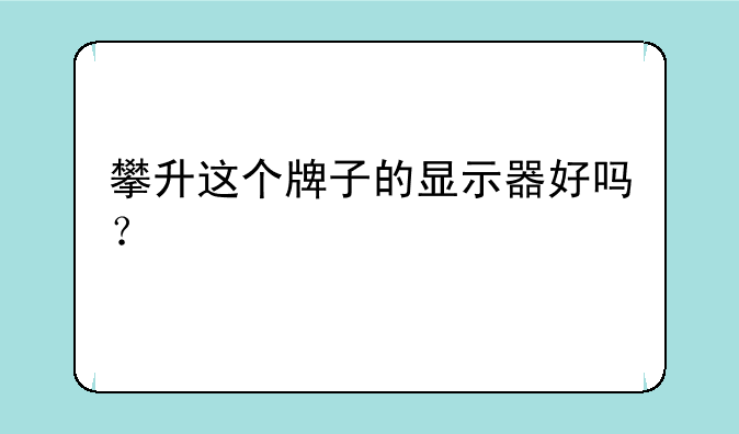 攀升这个牌子的显示器好吗？