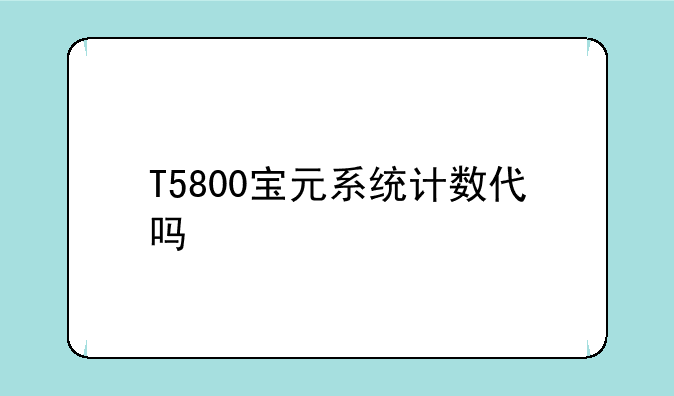 T5800宝元系统计数代吗