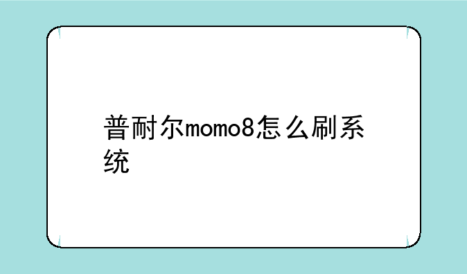 普耐尔momo8怎么刷系统
