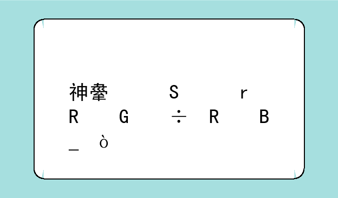 神舟笔记本电脑好用吗？