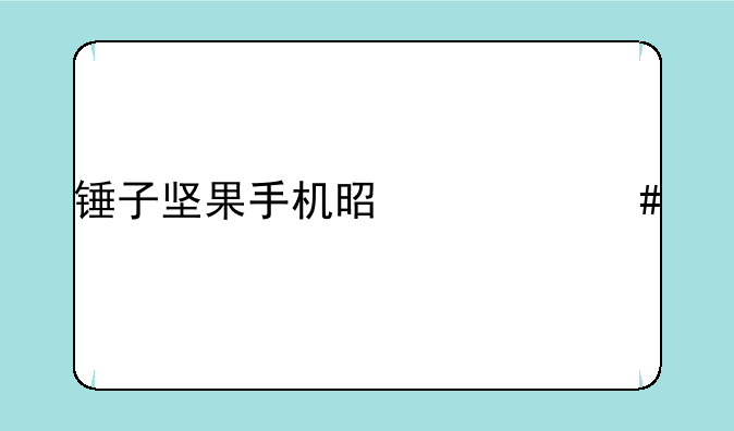 锤子坚果手机是什么牌子