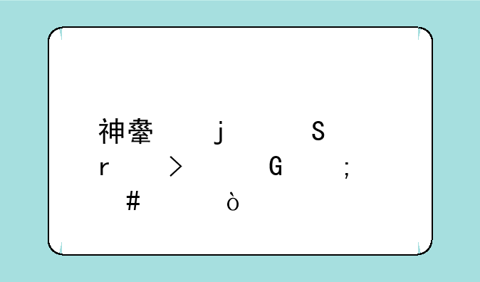 神舟的笔记本口碑怎么样？