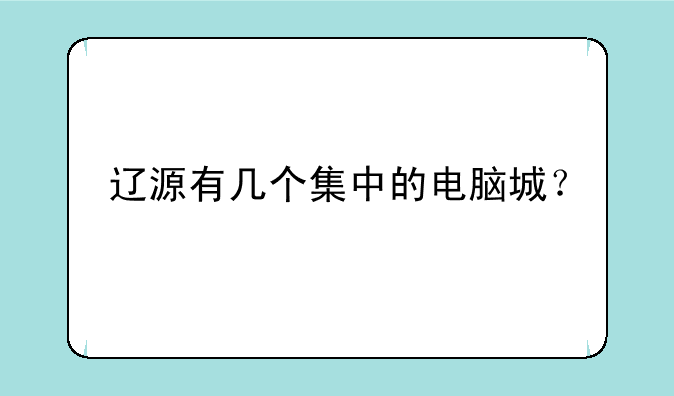 辽源有几个集中的电脑城？