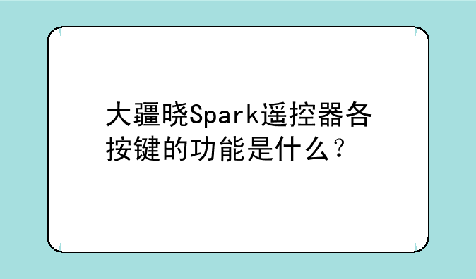 大疆晓Spark遥控器各按键的功能是什么？