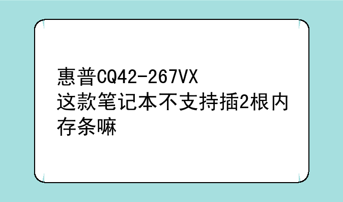 惠普CQ42-267VX这款笔记本不支持插2根内存条嘛