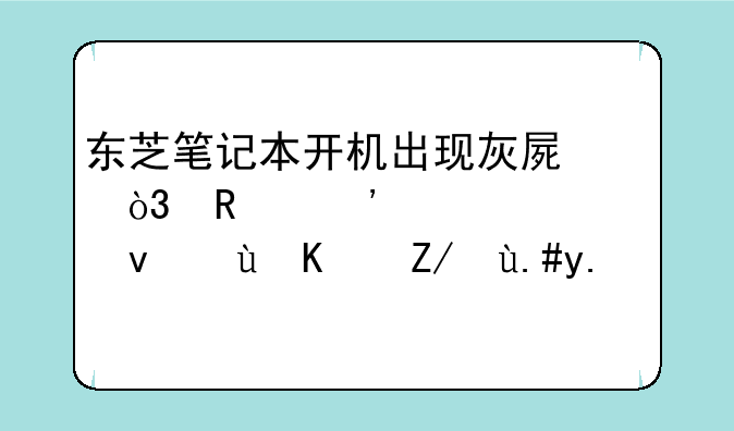 东芝笔记本开机出现灰屏，用安全系统进也进不了？