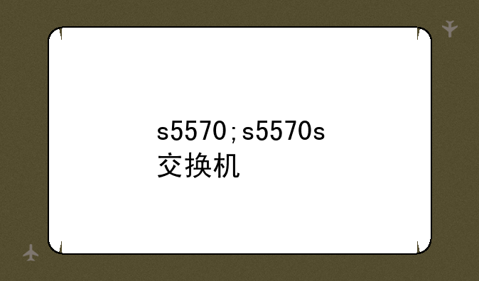 s5570;s5570s交换机