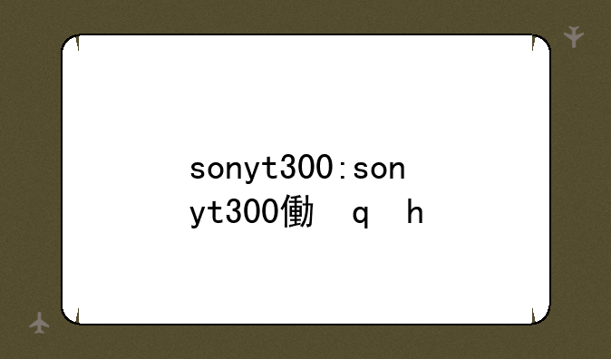 sonyt300:sonyt300像素