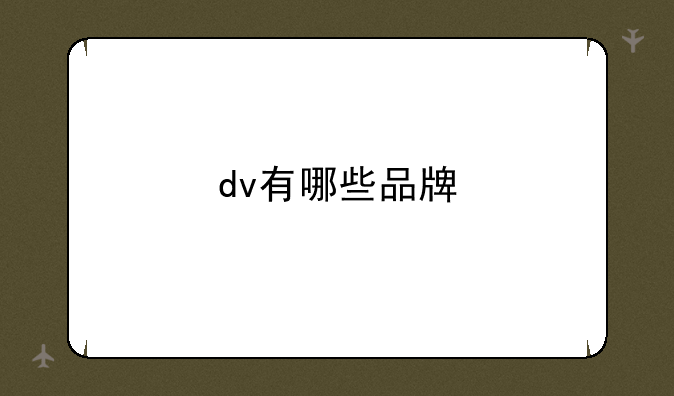 dv有哪些品牌