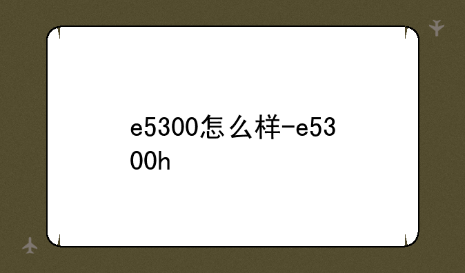 e5300怎么样-e5300h