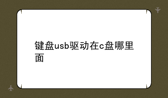 键盘usb驱动在c盘哪里面