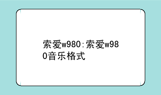 索爱w980:索爱w980音乐格式