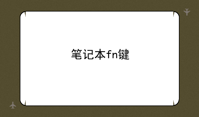 笔记本fn键
