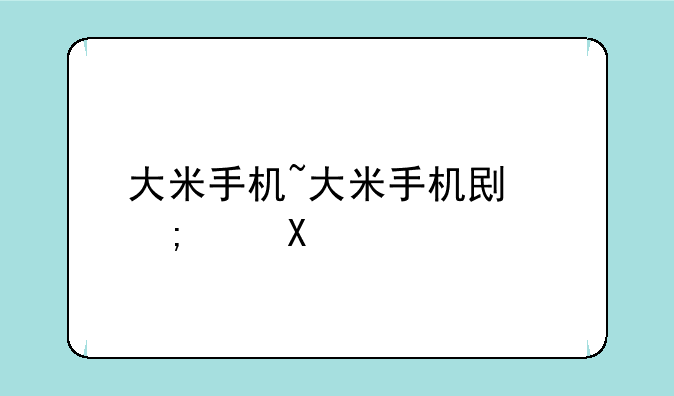 大米手机~大米手机创始人