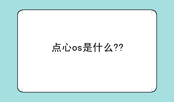 点心os是什么??