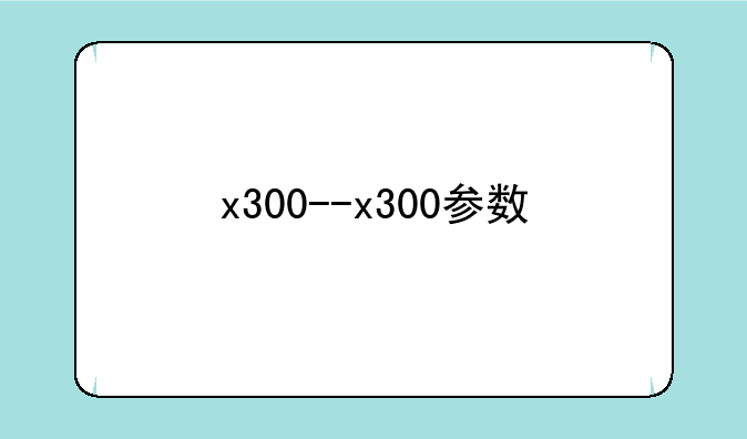 x300--x300参数