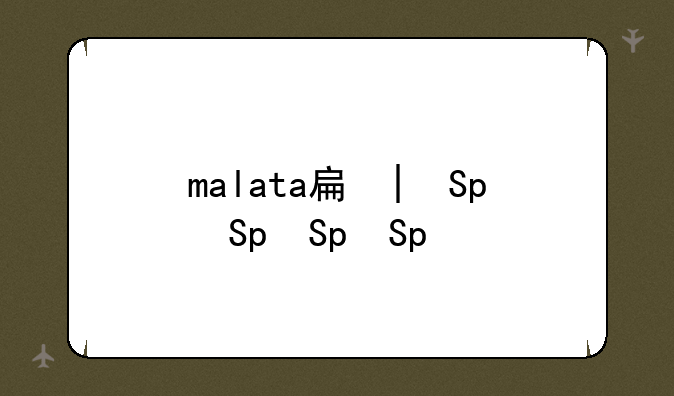 malata手机