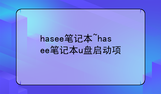 hasee笔记本~hasee笔记本u盘启动项
